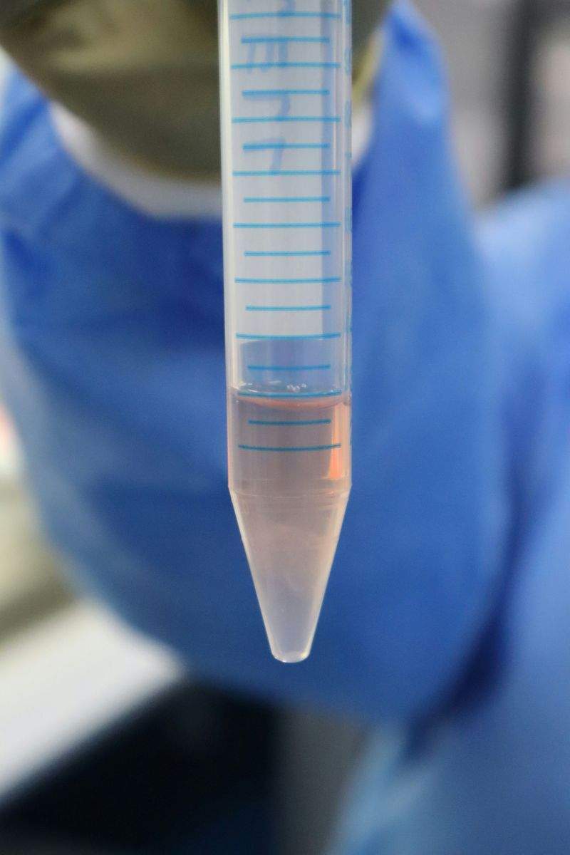 Scienza e Innovazione S.r.l. - Image 12