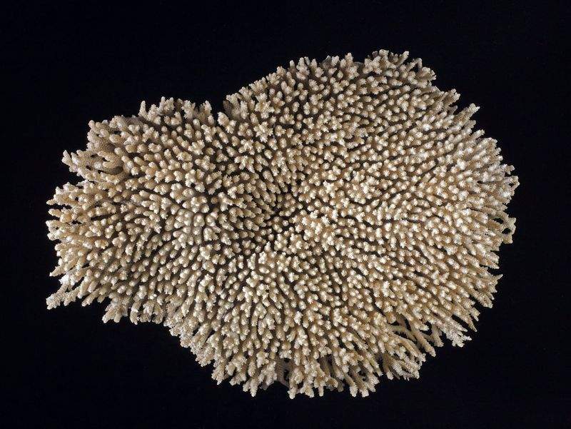 Scienza e Innovazione S.r.l. - Image 13