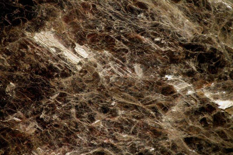 Scienza e Innovazione S.r.l. - Image 15