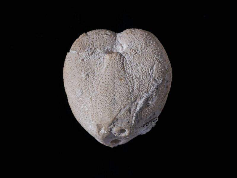 Scienza e Innovazione S.r.l. - Image 9